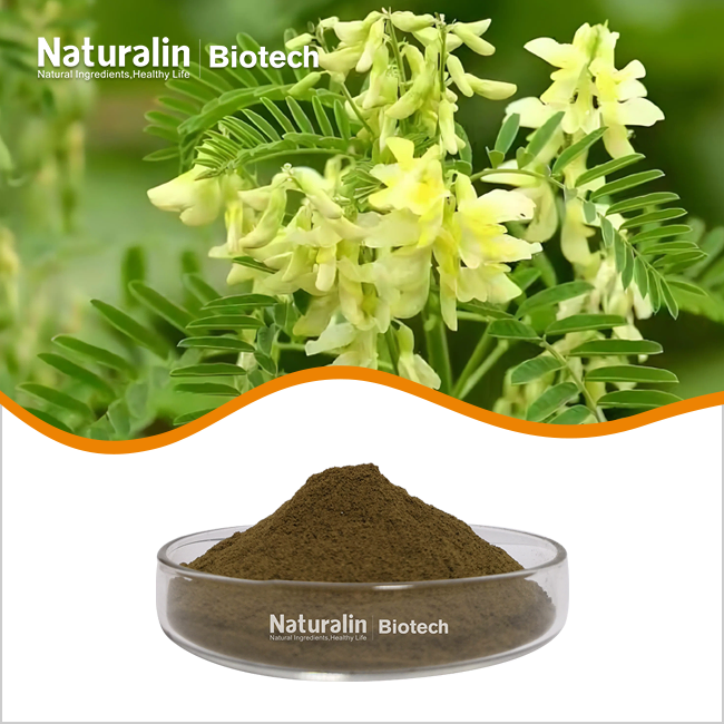 Bitter Sophora Root Extract